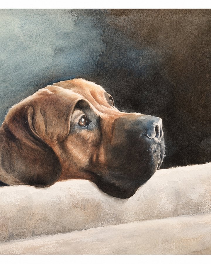 Geschilderd portret van een bruine hond die omhoog kijkt