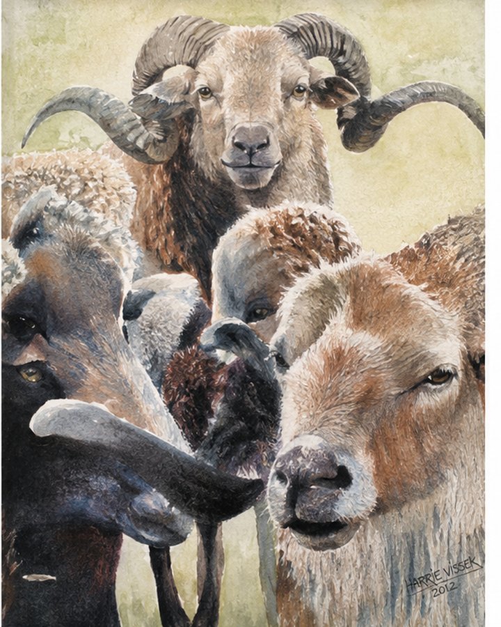 Geschilderd werk met schapen en een ram met gedraaide horens